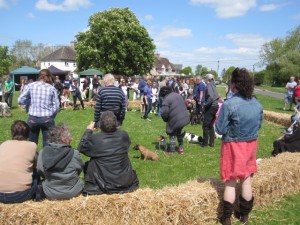 Spring Fayre 15 Dog Show